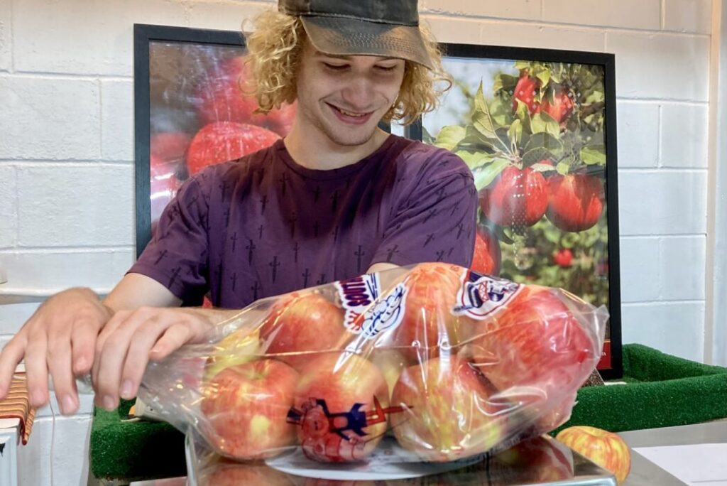 apple orchards