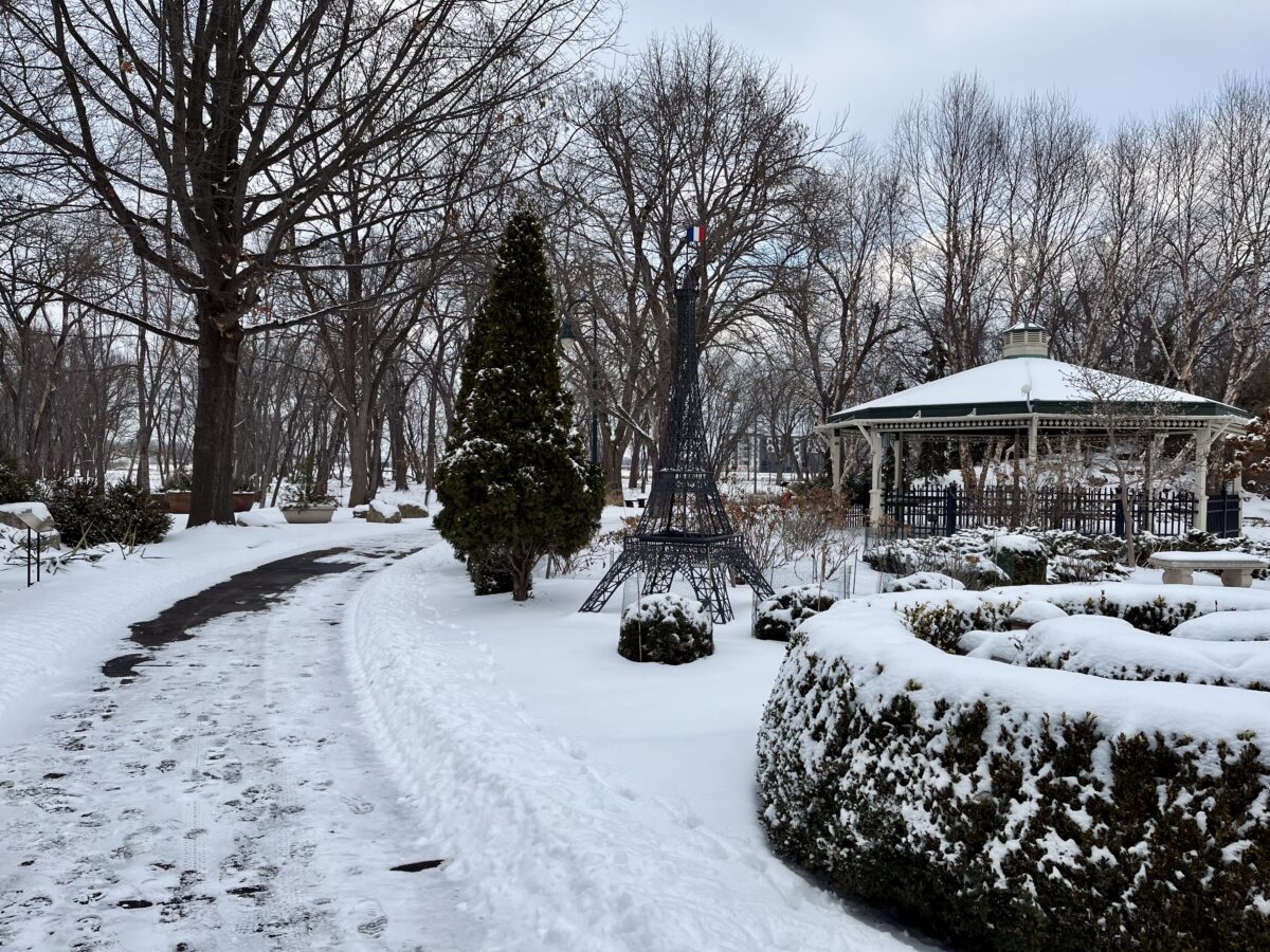 winter walks