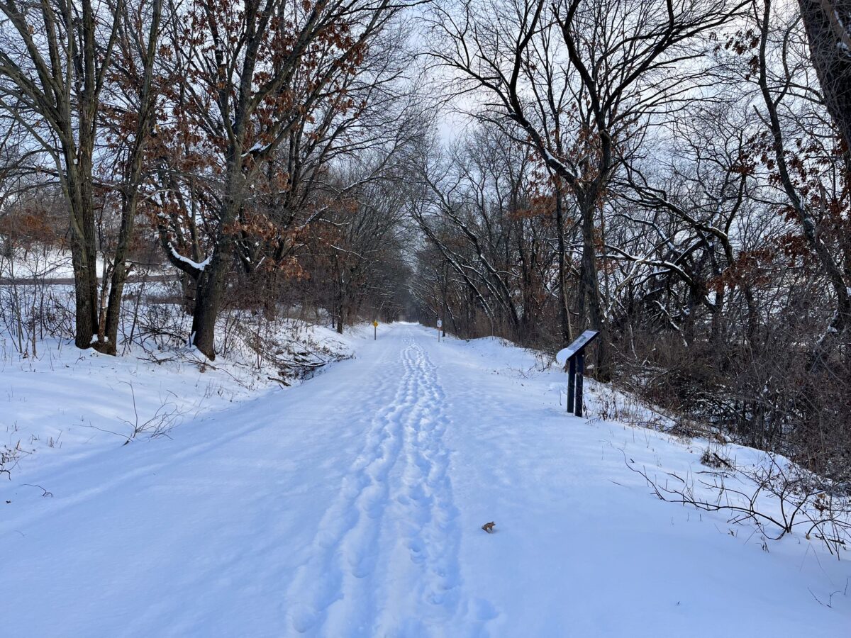 winter walks