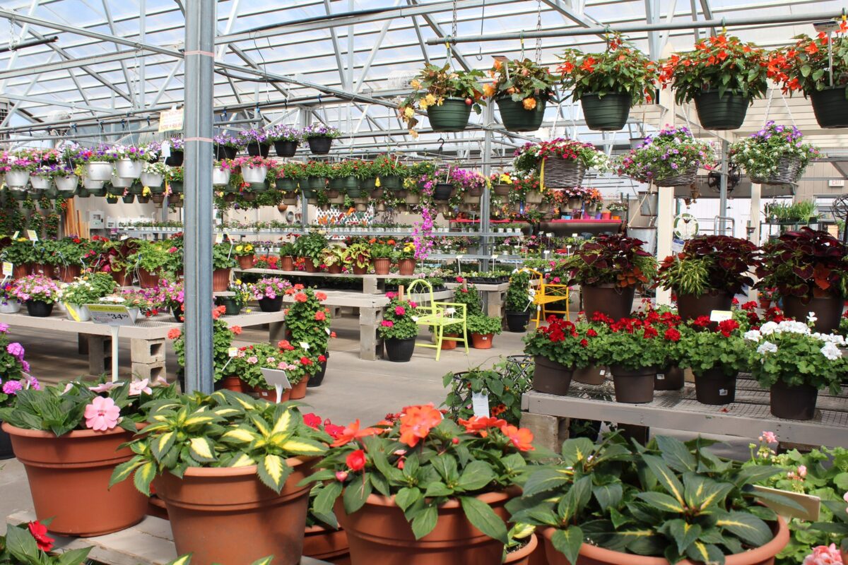 gardens