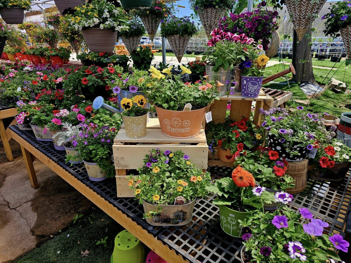 gardens