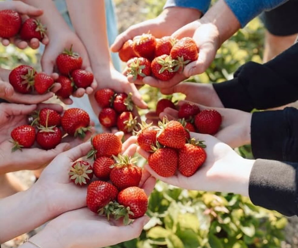 berry