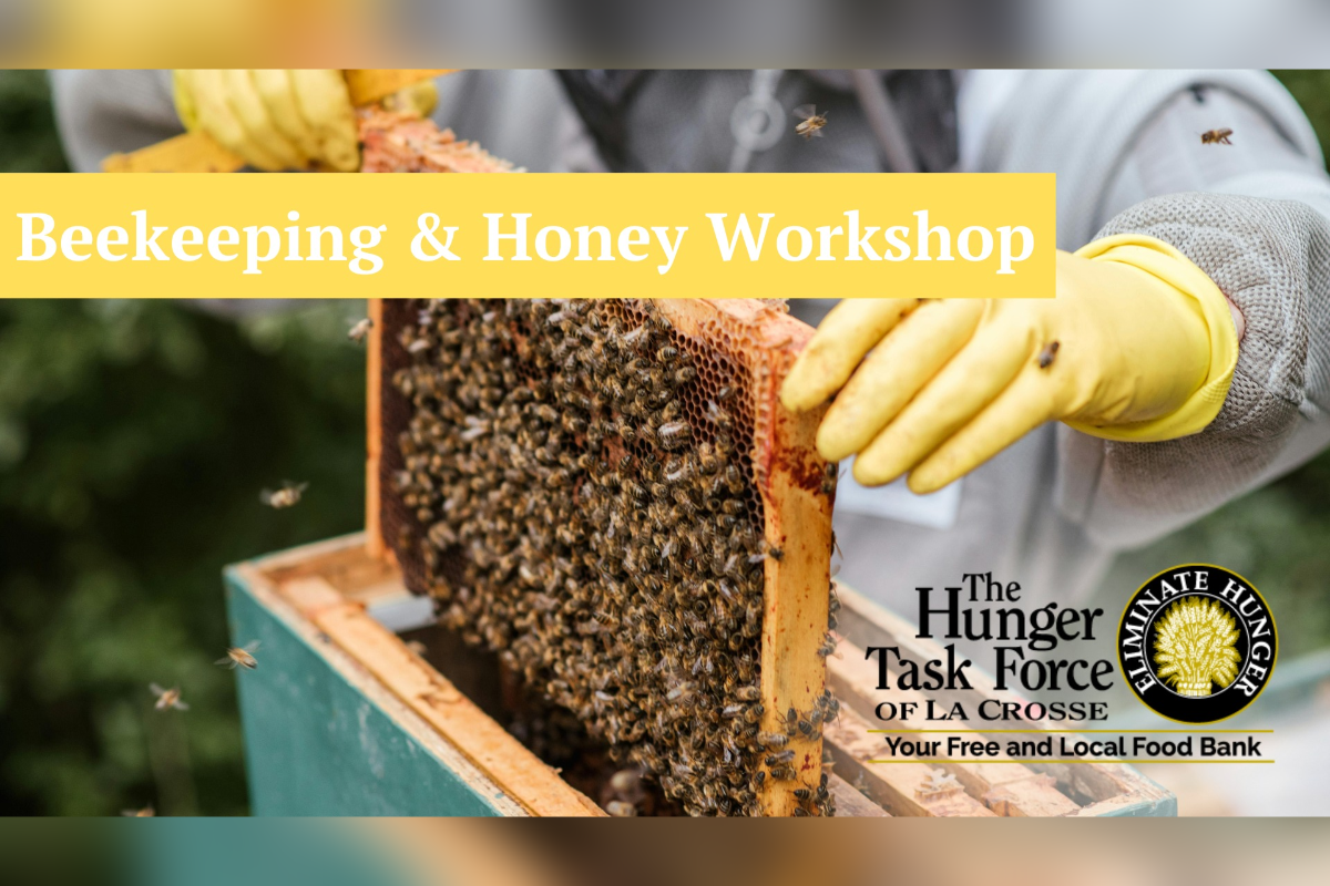 Beekeeping and honey workshop