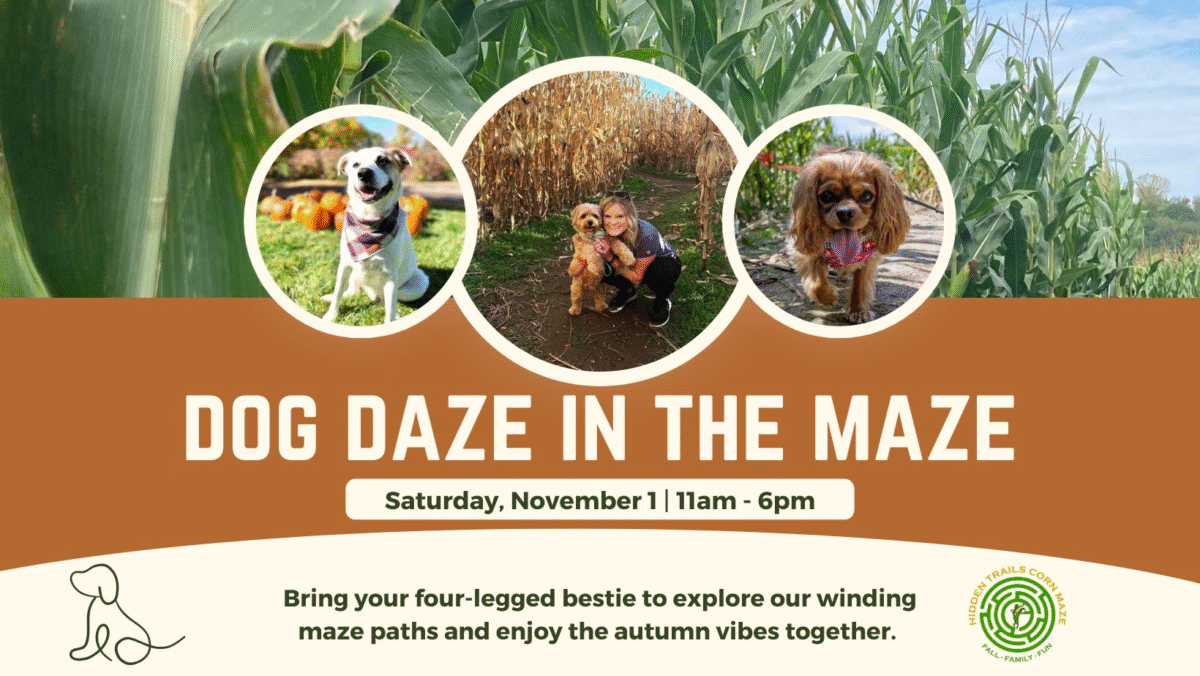 Dog Daze in the Maze | Hidden Trails