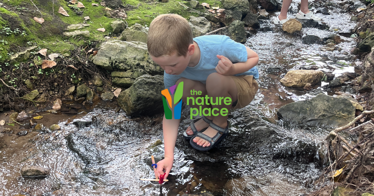the nature place summer camp the nature place summer camp