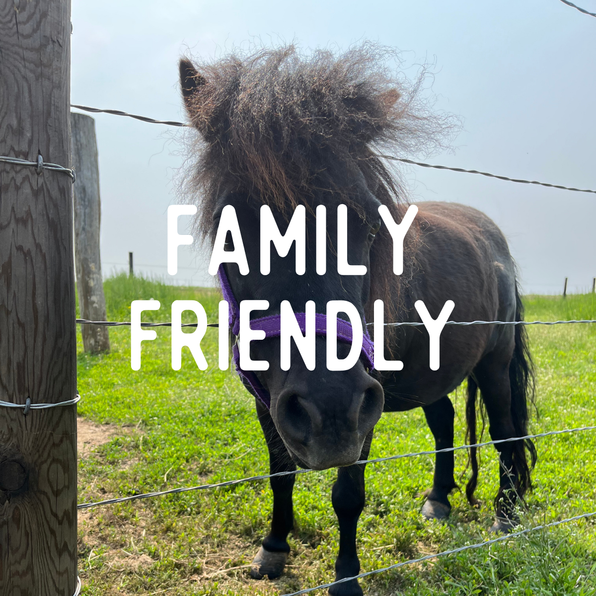 family friendly